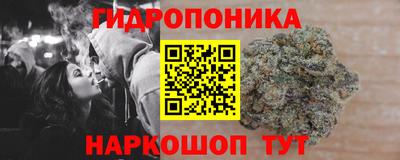 jwh Бийск