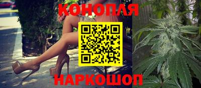 jwh Бийск