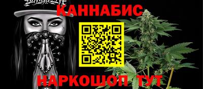 jwh Бийск