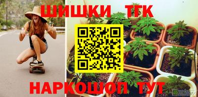 jwh Бийск