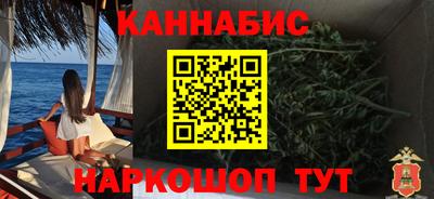 jwh Бийск
