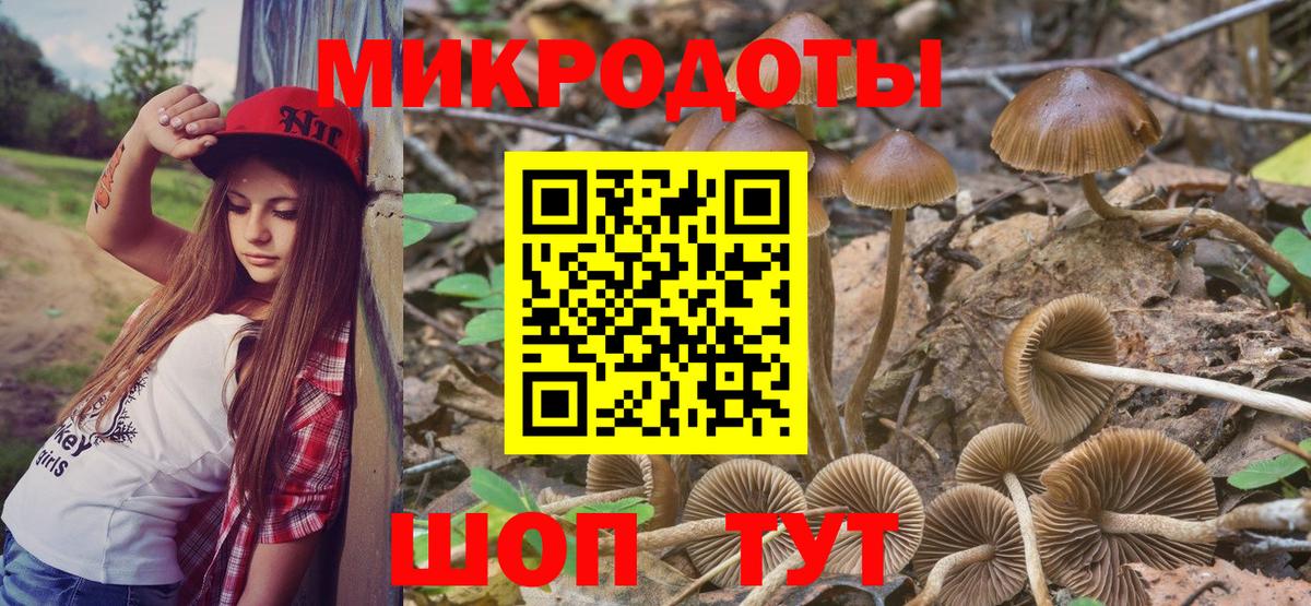 Псилоцибиновые грибы Magic Shrooms  купить наркотики цена  Кинель  Вход с VPN  Псилоцибиновые грибы MAGIC MUSHROOMS 