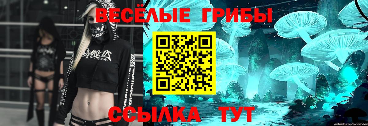 Псилоцибиновые грибы Cubensis Кинель